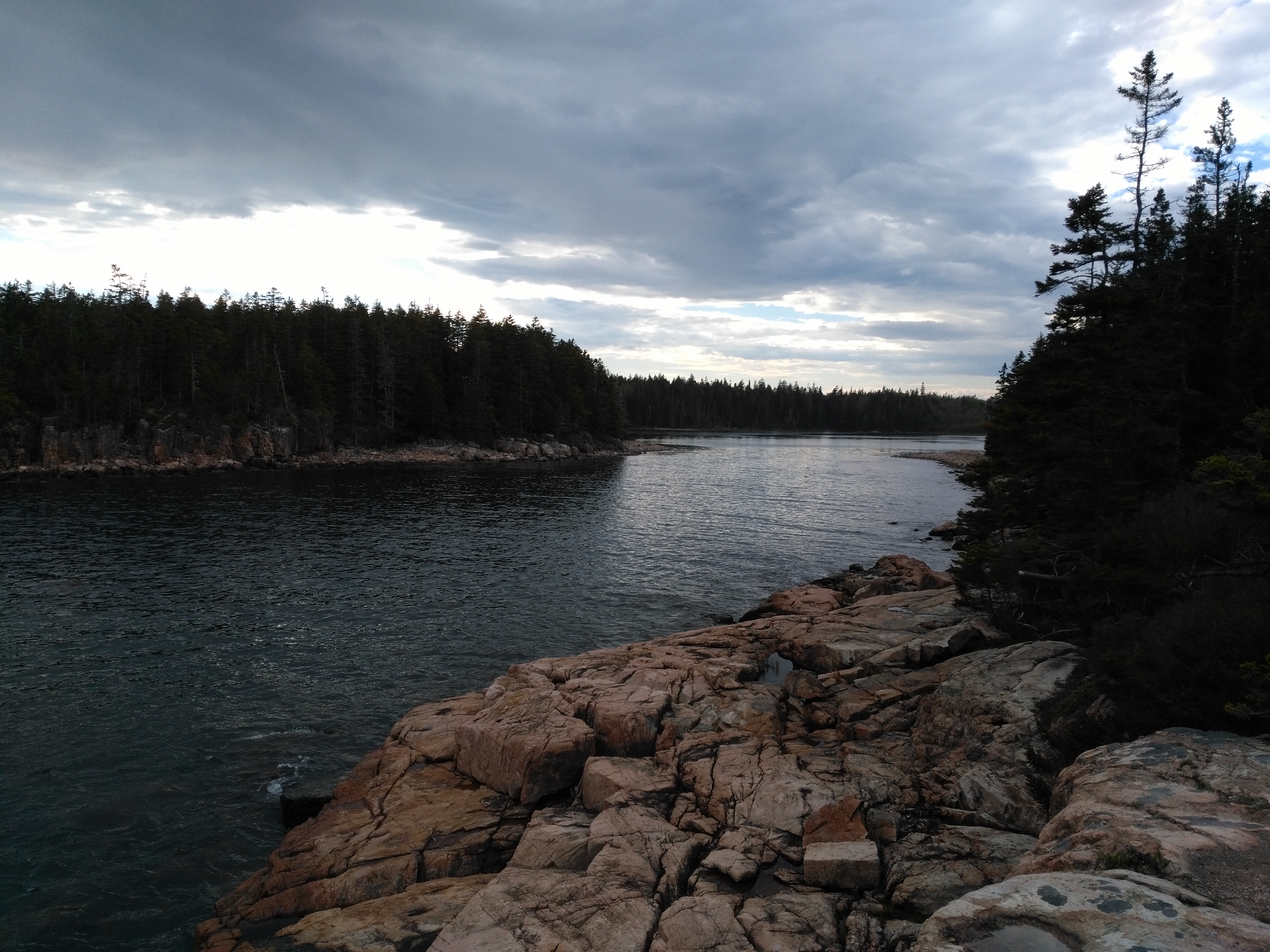 Acadia Hiking Guide: Ship Harbor, Wonderland, Seawall, and Bass Harbor