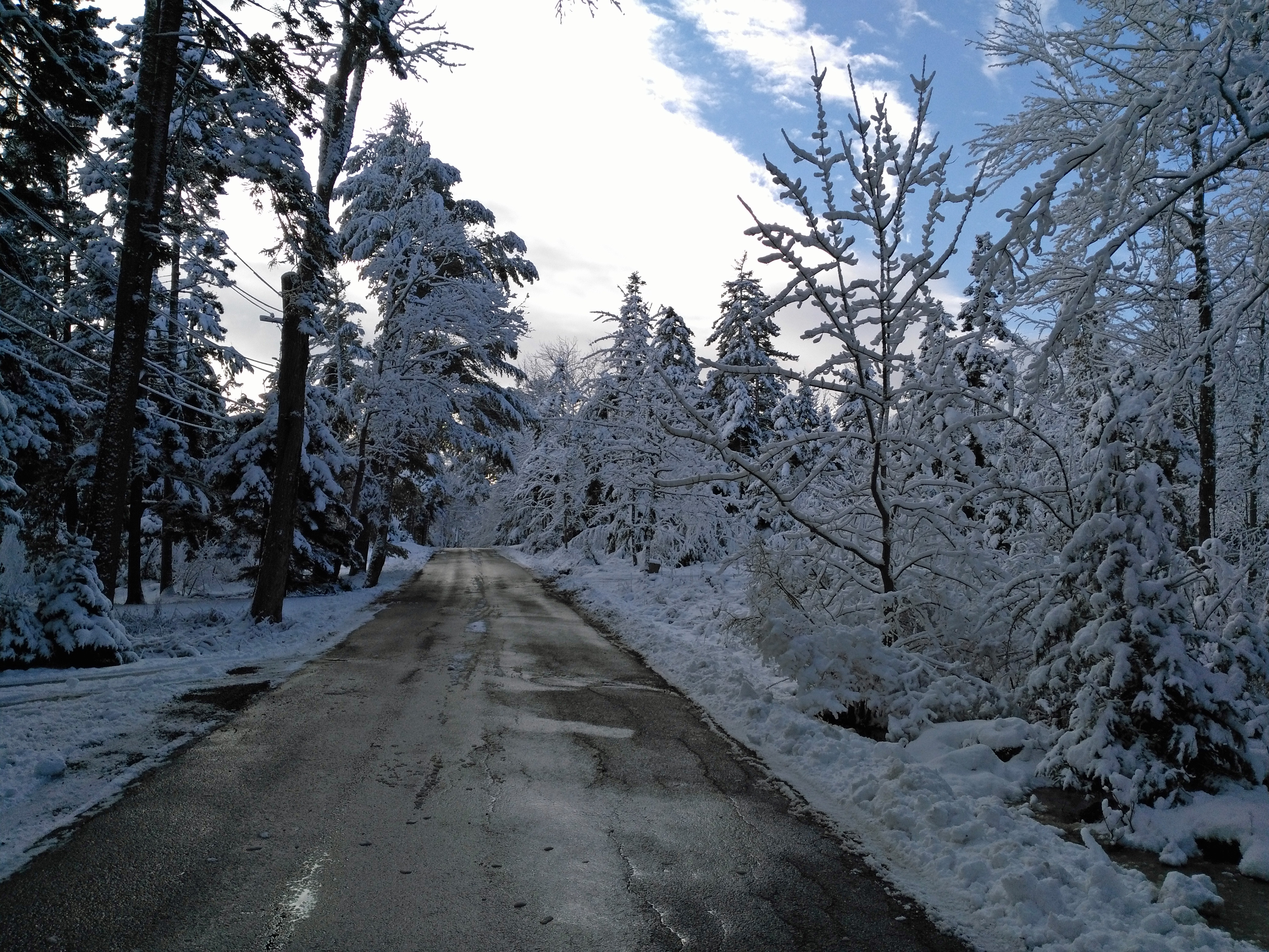 Bar Harbor Winter Wonderland