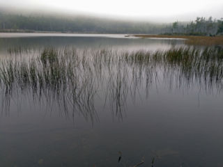 Upper Hadlock Pond