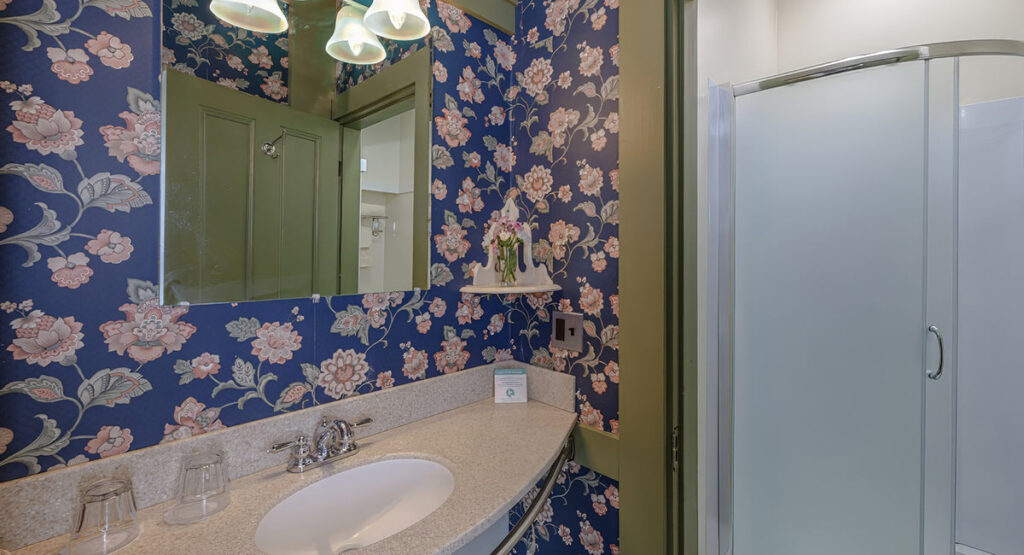 The Belmont sink and shower