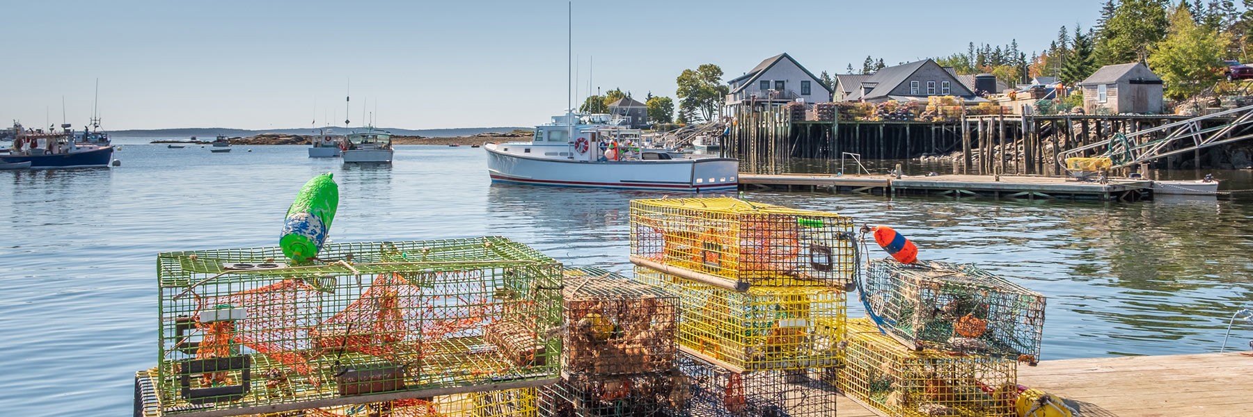 Lobster traps on dock